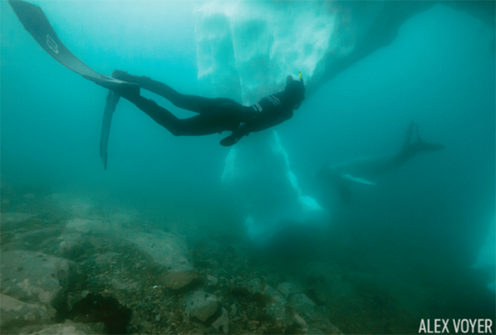 underwater diving