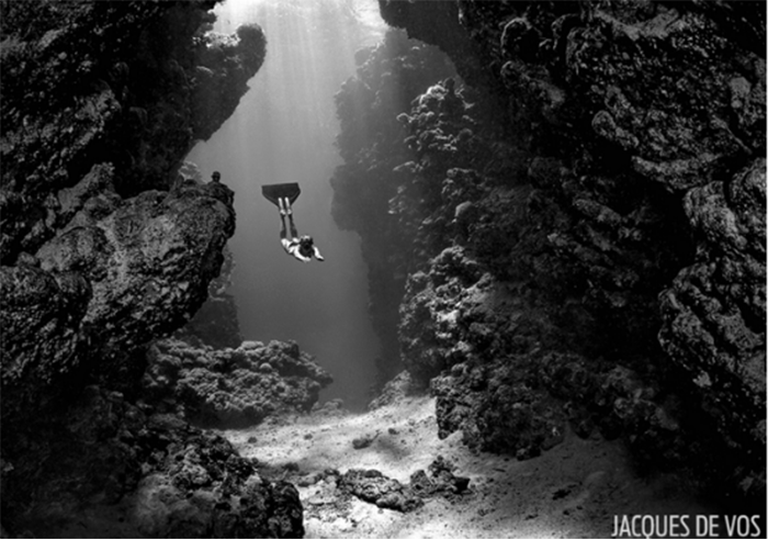 freediving experience