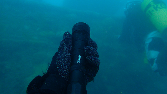 underwater searching